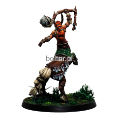 W0063A-3 Eachann, the Great Centaurelf.png