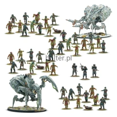 452610009_TotenrotteStarterArmy01.webp