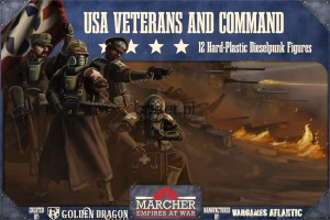 Marcher: USA Veterans and Command