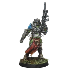 0648F Caledonian Mormaer - T2 Rifle.png