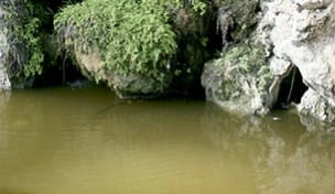 Still Water (Art. 26230).jpg