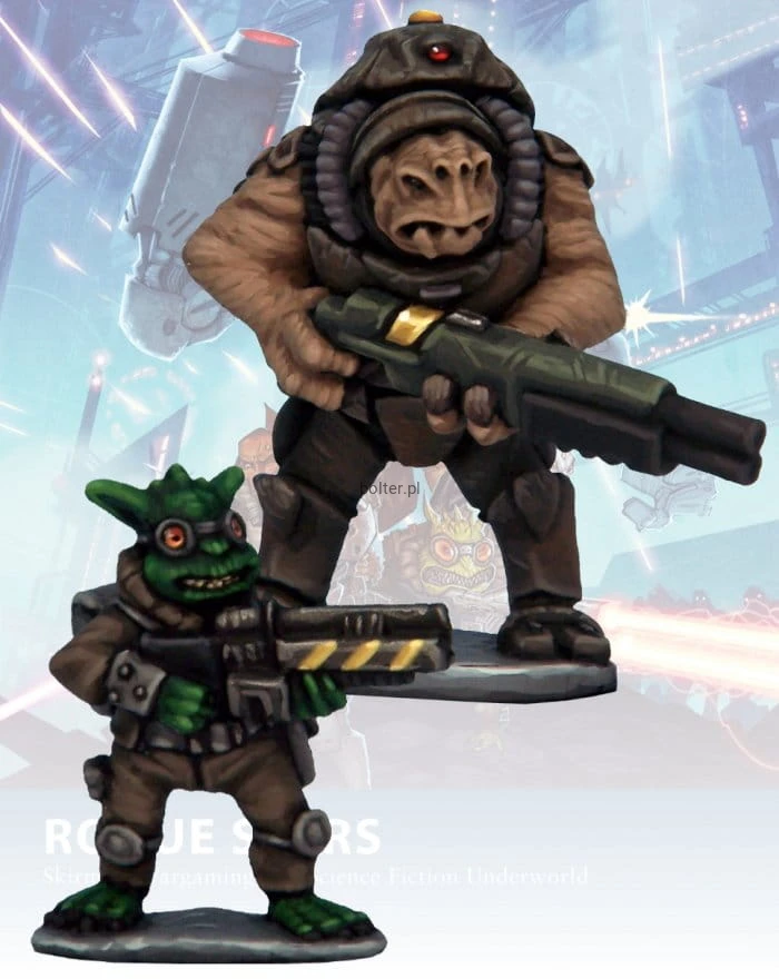 ROG110 - Soldiers of Fortune.jpg