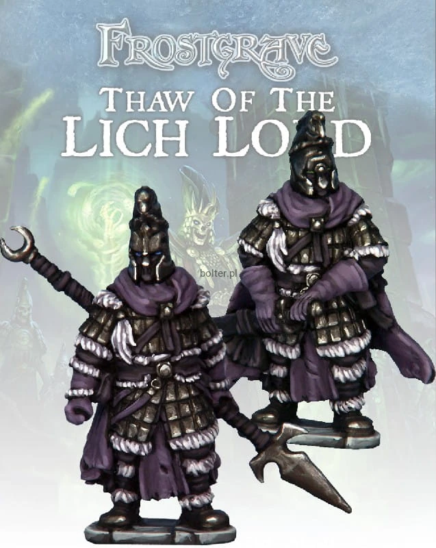 FGV312 - Wraith Knights.jpg