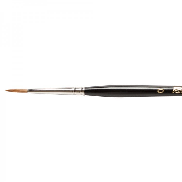 BRS84040.JPG