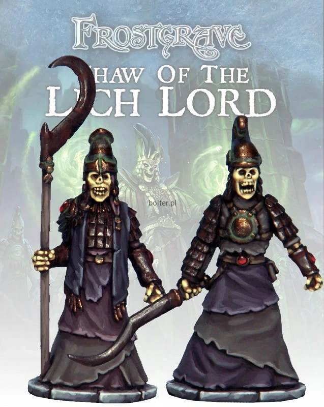 FGV314 - Armoured Skeletons.jpg