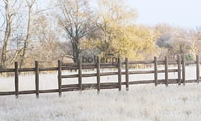 283001 Log Fence Set 120180118225657.jpg