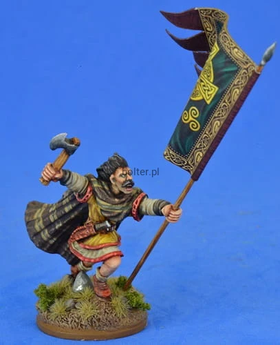 SWBB011 Irish Warbanner Bearer.jpeg