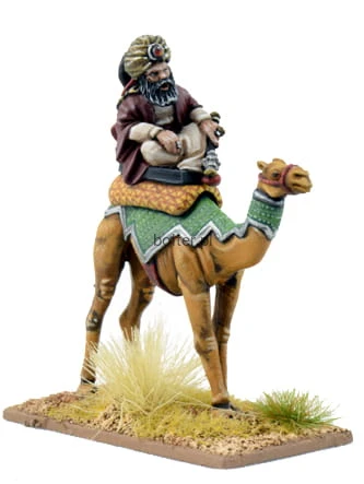 SMF01a Mutatawwi'a Warlord on Camel.jpeg