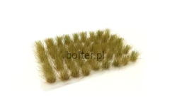 PAINT FORGE 07-12b.jpg