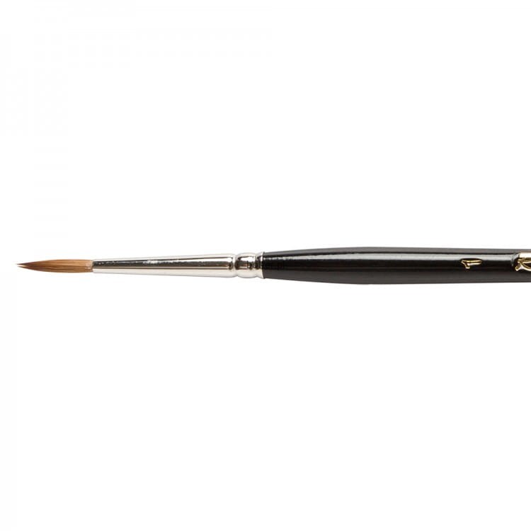 BRS84041.JPG