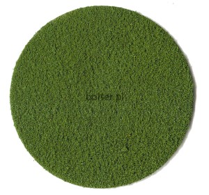 TRAWA DROBNA CIEMNOZIELONA 200ML